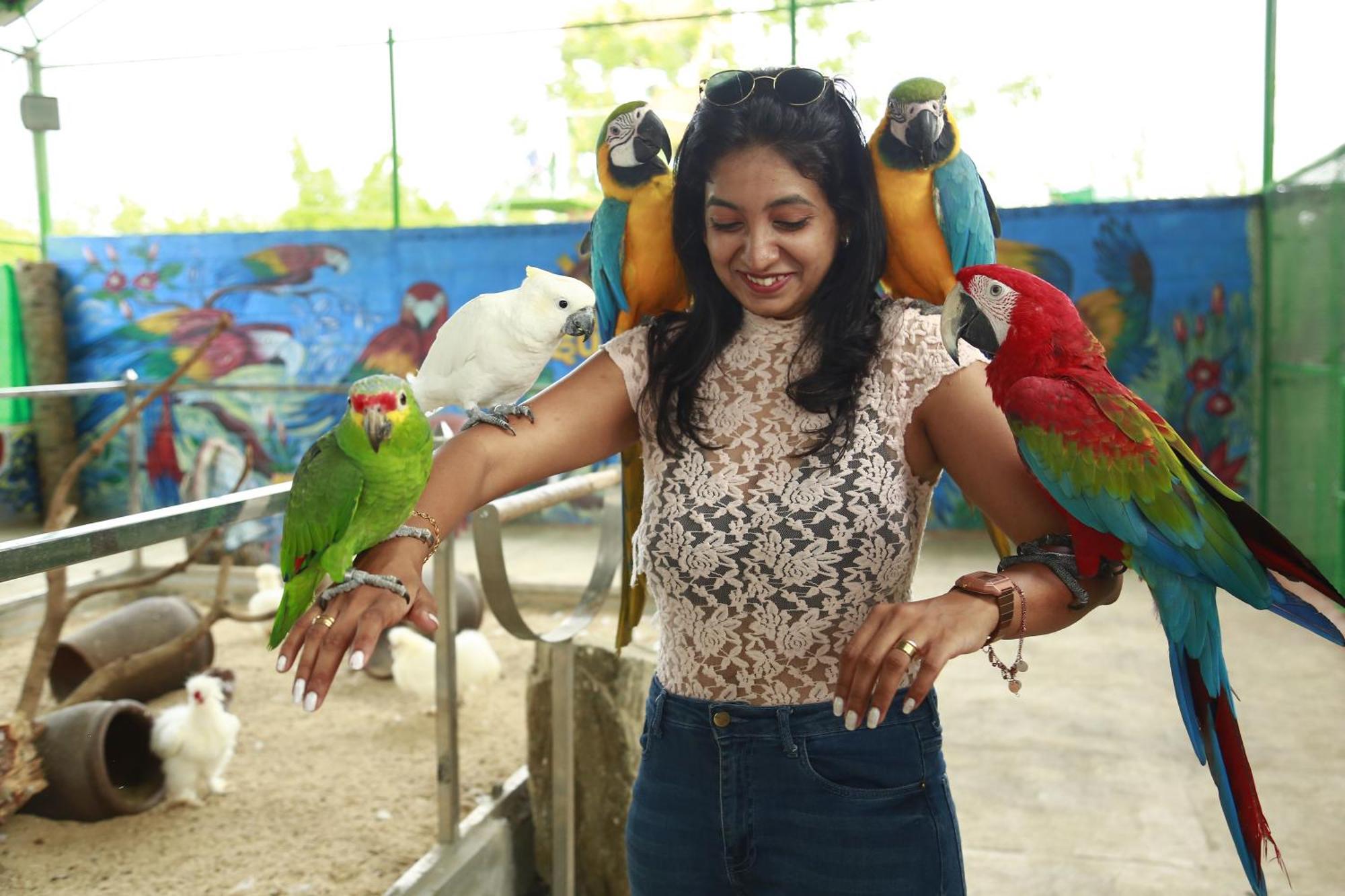 Suggee Resort Jigani Bagian luar foto